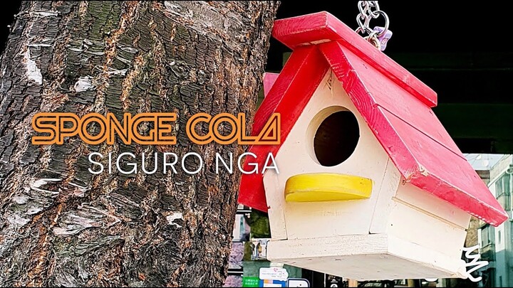 Sponge Cola -- Siguro Nga [OFFICIAL LYRIC VIDEO]