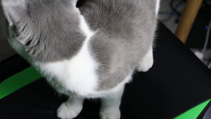 Ten days, from 0 to 1