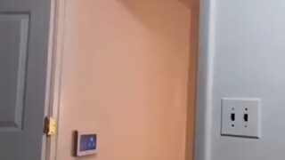 Li Huowang akan maju lagi! !