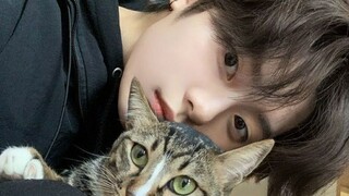 Straykids Leeknow Western sky ( 서쪽 하늘) Song cover