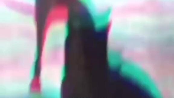 The dog after watching Wednesday