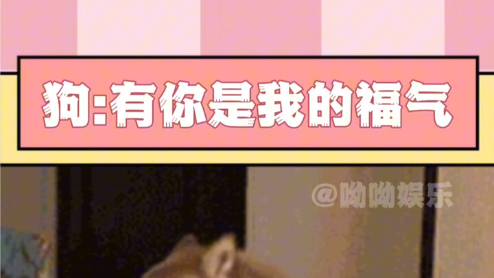 “Meski ia bukan manusia, tapi kamu memang anjing sungguhan.”