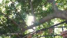 đừng làm phiền tôi học tập 12