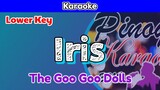 Iris by The Goo Goo Dolls (Karaoke : Lower Key)