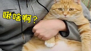 养狗养猫不要乱起名，不然早晚有一天够你受的