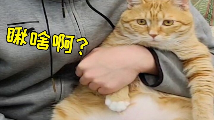 Jangan sembarangan memberi nama anjing atau kucing, kalau tidak suatu hari nanti pasti akan membuatm