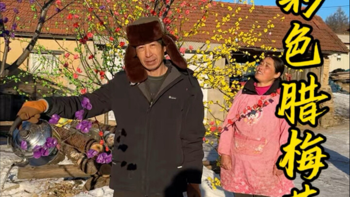 Molding colorful winter plum blossoms with Mom and Dad—this row of vibrant, multicolored plum trees 