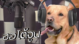 ออโต้จูน ไม่จำเป็นต้องใช้แค่กับคนอย่างเดียว