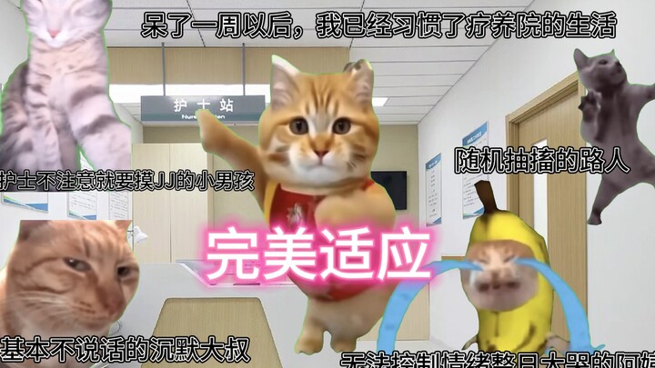 【Meme kucing】Menemani ibu tinggal di rumah sakit jiwa (bagian tengah)