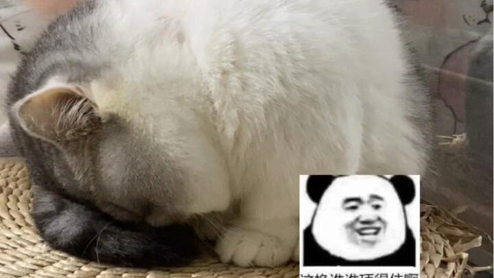 Tôi thực sự rất lo cho đốt sống cổ của anh ấy…