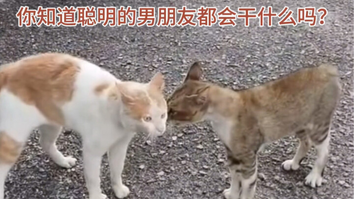 Rebirth: My Girlfriend Is a PUA Master