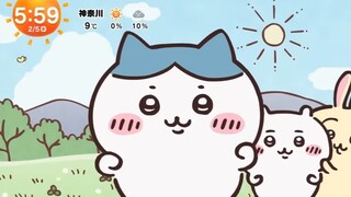 【ちいかわ】所有动画未播出片段都在这里了