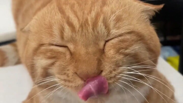 The Benevolent Roots Left Behind by the Elderly in This World