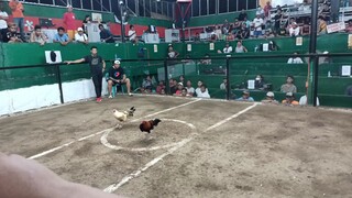 MASMAGALING ANG KALABAN