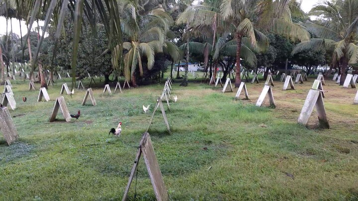 fuse game farm chat sa gusto