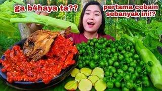 1/2 KG LEUNCA⁉️ MUKBANG BATANG PEPAYA JUMBO JENGKOL MENTAH LEUNCA LALAPAN MENTAH TANPA NASI