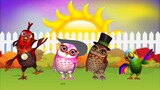 The Rooster, The Two Owls And The Parrot Pepe Enjoying Their Dance At The Farm