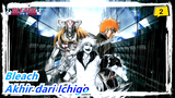 [Bleach] Tite Kubo: Ini Bukan Akhir Dari Ichigo_2