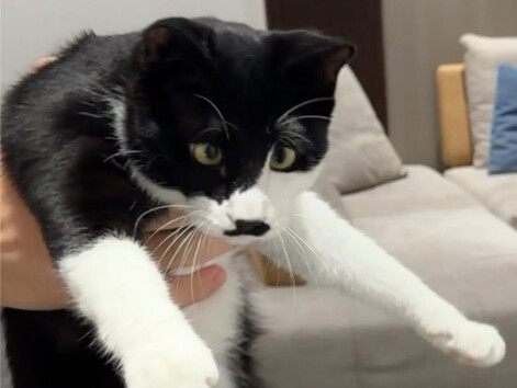 Chắc chắn là hỏng rồi!