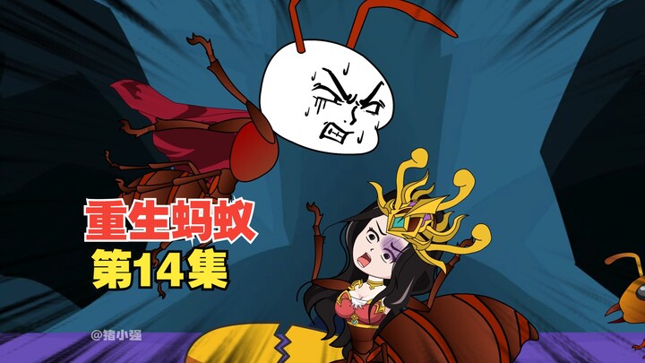 第14集，朱小强外出大战，不料变异蚁后却产出金色蚁蛋！#重生蚂蚁 #沙雕搞笑动画 #二次元