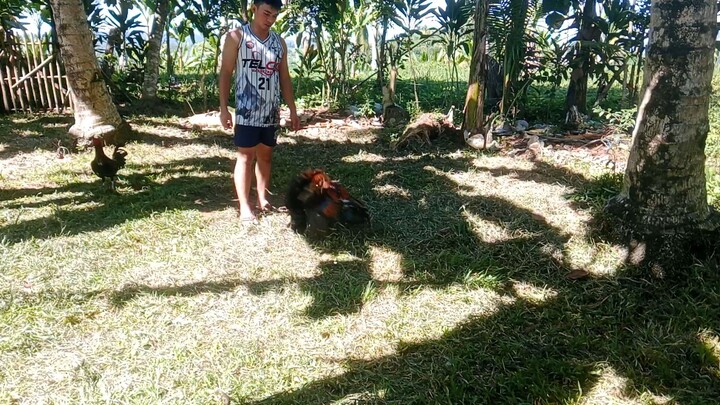 Boston sweater vs 5k sweater