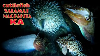 ep196, CUTTLEFISH SALAMAT NAGPAKITA KA, night spearfishing Philippines,
