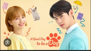 A GOOD DAY TO BE A DOG TAGALOG EP12