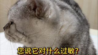 My cat has truly become a Buddhist now.