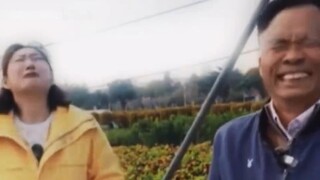 Fruit farmer: I want to laugh when I think about what I will do next
