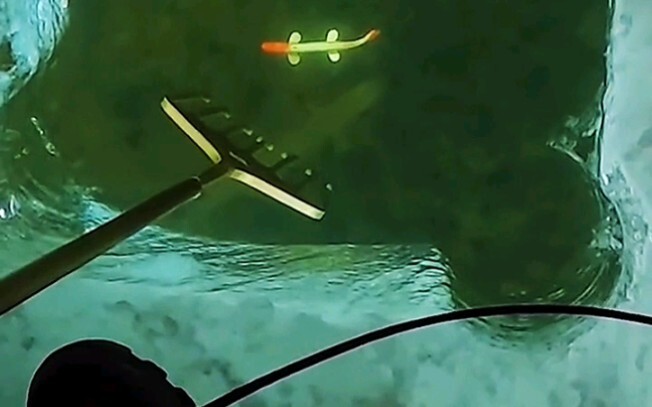 ปลา: นี่เธอหลอกลวงความรู้สึกของฉันได้ยังไง!