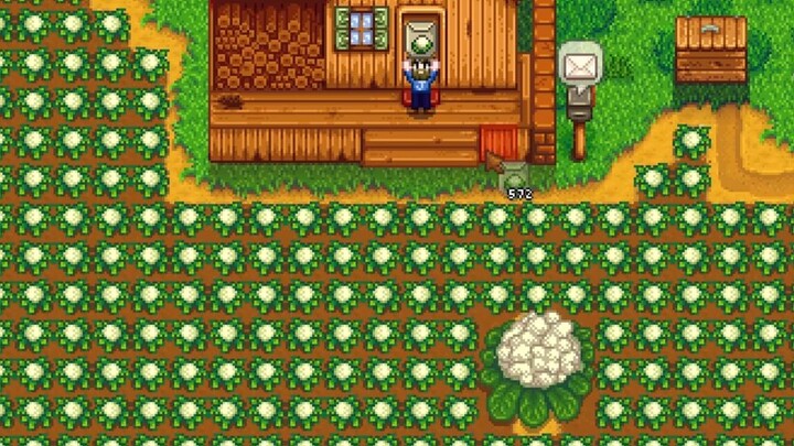 Just simply growing some cauliflower