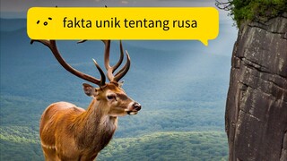 mau tau fakta unik tentang rusa🦌??       ayok nonton biar tau !!!!
