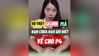 Sự thật về tuổi của chó LearnOnTikTok cho thucung education thybian