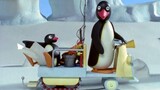 Pingu And His Daily Adventures