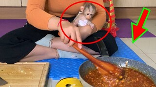 Adorable Newborn Baby Lion Crying Seizure When Watching Mom Cook