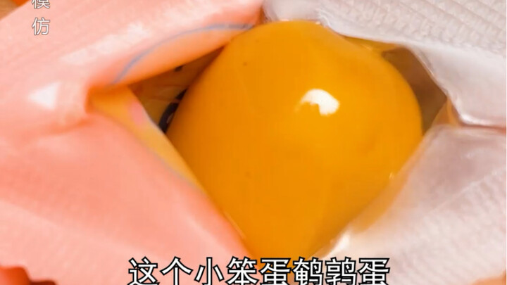 #LittleDunceQuailEggs This is exactly what “love the house and cherish the birds” means!! #WatchUnti