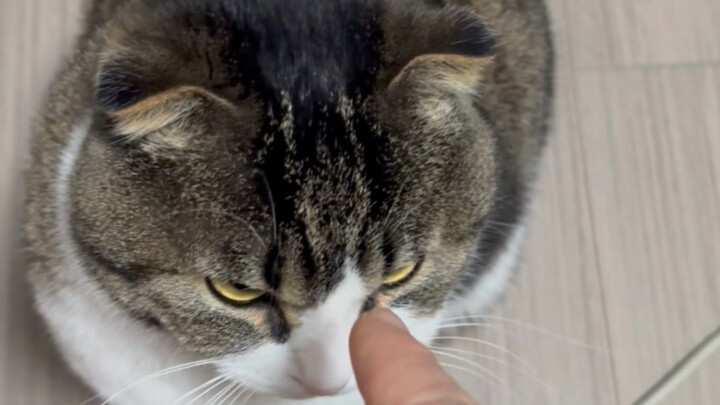 Tôi không thể kiềm chế được nữa!