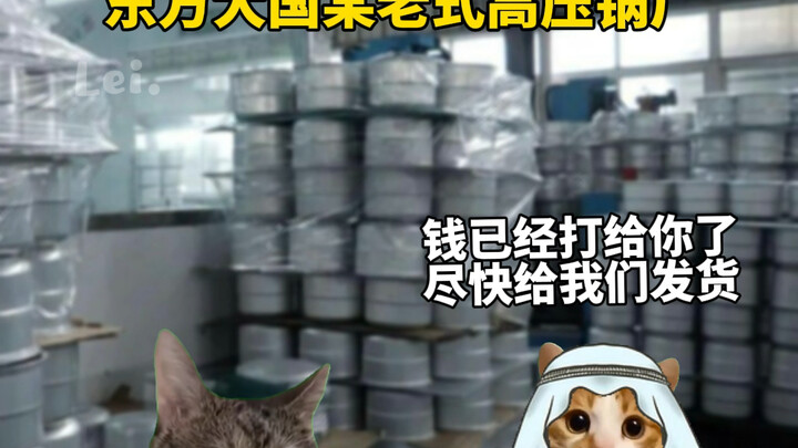 Pressure cooker manufacturer instantly turns into an arms dealer