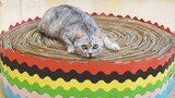 [Động vật] Làm đồ chơi cào móng khổng lồ chứa đầy cỏ bạc hà cho mèo