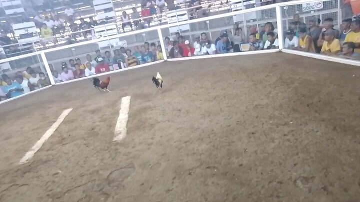 andoks line talisay