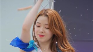 JSJ  fancam by zam