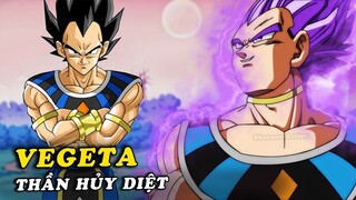 Vegeta theo học Thần Hủy Diệt Beerus , sức mạnh Thần Hủy Diệt tương lai trong Dragon Ball #Anime