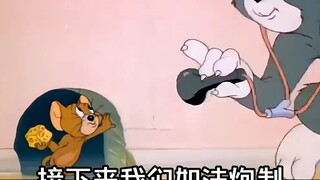 [ห้ามพลาด] [เกมมือถือ Cat and Mouse] ความดิ้นรนไม่ได้อยู่ที่การคลิกเร็วขึ้นและเร็วขึ้นเท่านั้นหรือ?