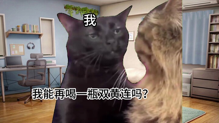 【Meme mèo】Tôi có vị giác khác người, còn mẹ thì sợ đến mức không dám cho tôi uống thuốc