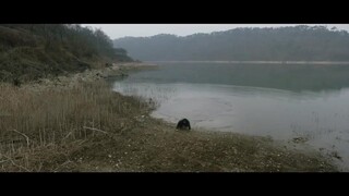 Thế Giới Của Chó Và Lợn EP 12 [Sub Việt]