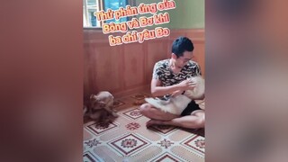 Không có chút dấu hiệu nào là tủi thân luôn. Haha. cunyeucuadua chó yeuchomeo chó_cưng chócon chócute