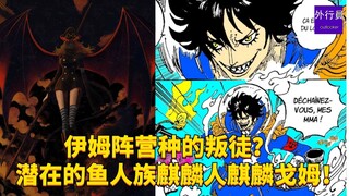 伊姆阵营种的叛徒？潜在鱼人族龙龙果实幻兽种麒麟戈姆！#1814