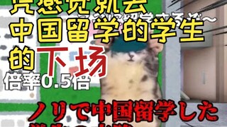 【熟肉】凭感觉就去中国留学的学生的下场 | 猫meme