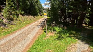 “人群太吵，我想归隐山林”