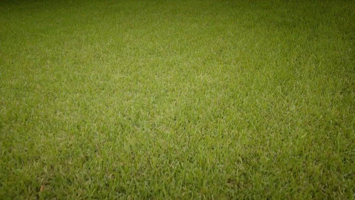 Beyoncé Documentary